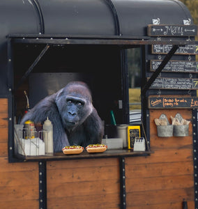 ¿RESTAURANTES O FOOD TRUCKS?